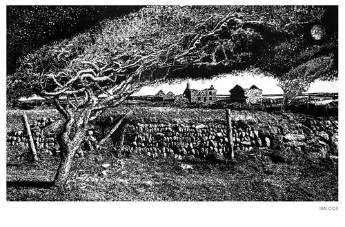 Monochrome image 1