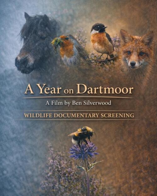 Film Night ~ A Year on Dartmoor image 1