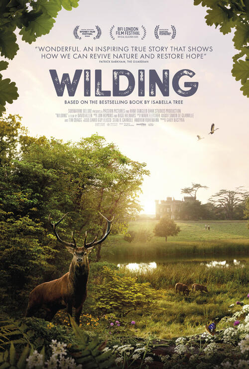 Paradiso Cinema Club - Wilding image 1