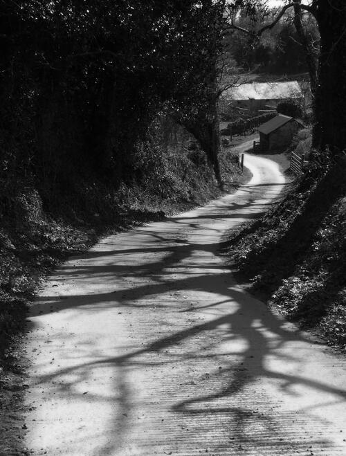 The Art of Photography image 2