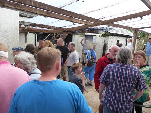Nourish Festival - 2017 image 6